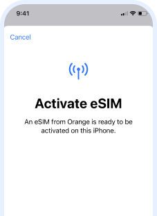 Esim explained image