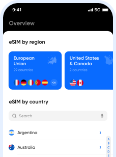 Esim explained image