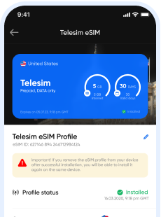 Esim explained image